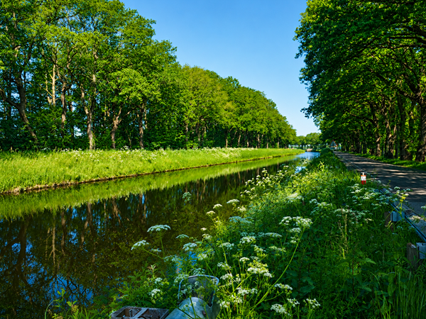 Medium property photo - Het Zwiggelterveld 149, 9433 VD Zwiggelte